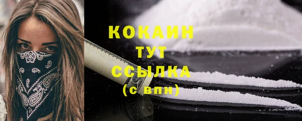 мяу мяу мука Новодвинск