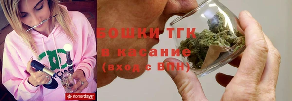 прущие крисы Новозыбков
