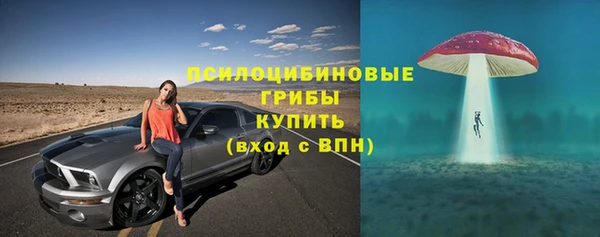 прущие крисы Новозыбков