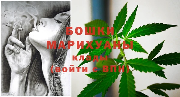 прущие крисы Новозыбков