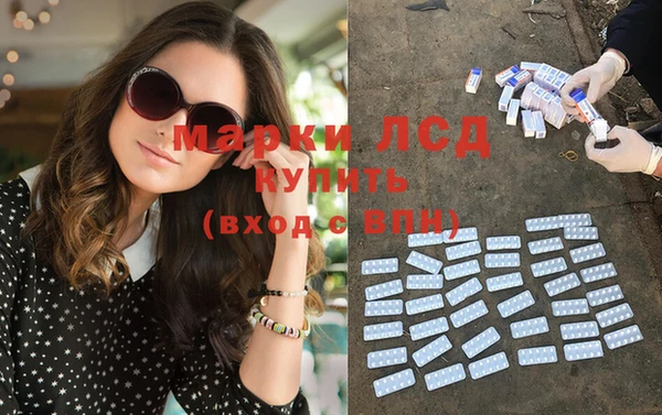 прущие крисы Новозыбков