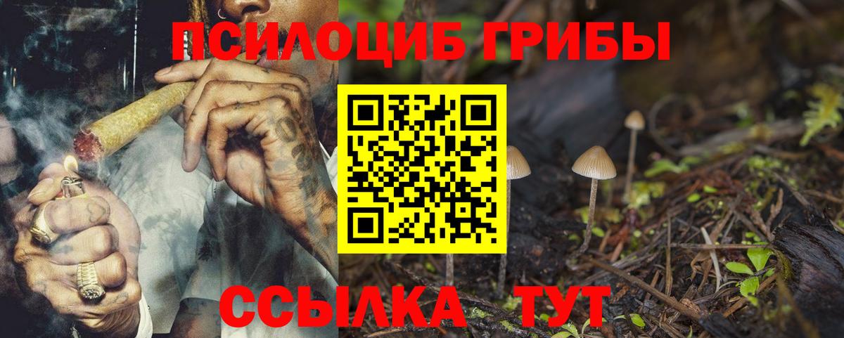 Кимры  Псилоцибиновые грибы мицелий  Вход с VPN 